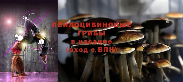 марихуана Елизово