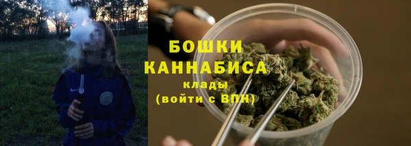 меф Ельня