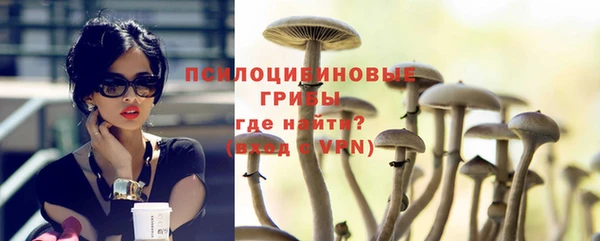меф Ельня