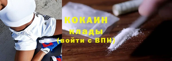 меф Ельня