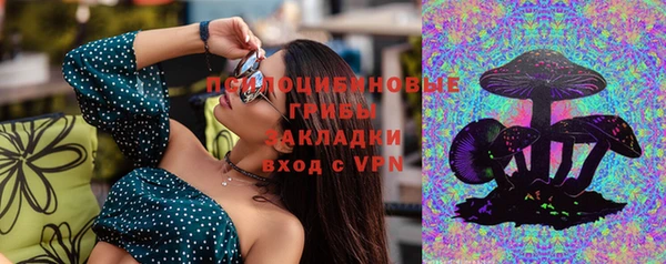 мдма Заводоуковск
