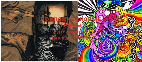 меф Ельня