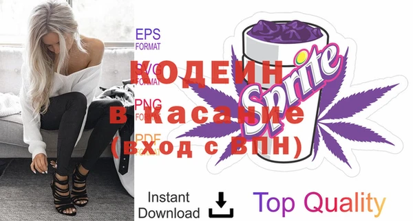 меф Ельня