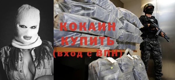 меф Ельня