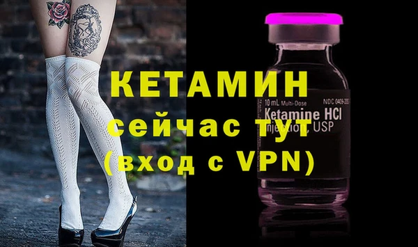 меф Ельня