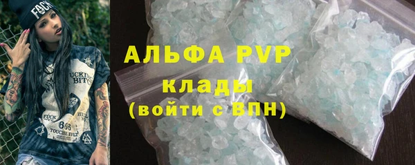 меф Ельня