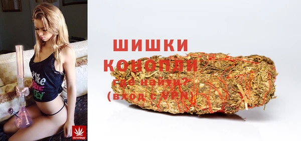 меф Ельня