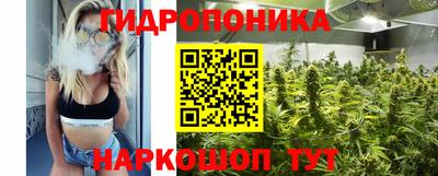 mdpv Можга