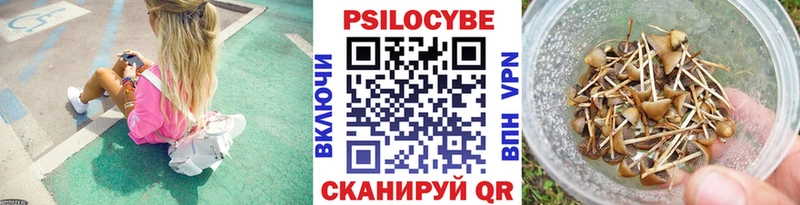 наркотики  Красногорск  Псилоцибиновые грибы Cubensis 