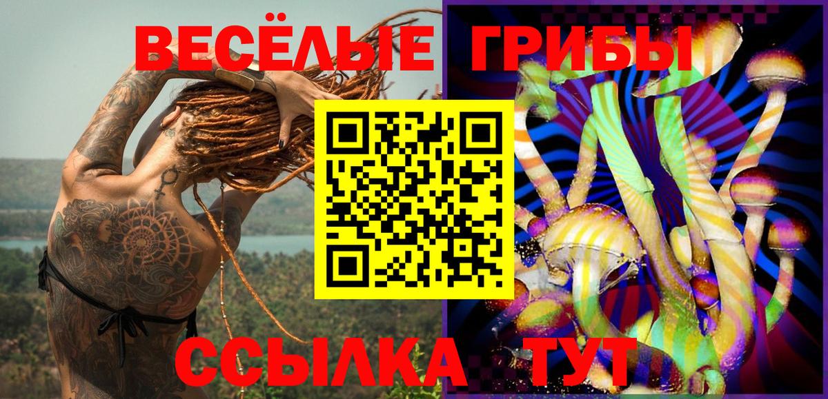 Красногорск  Галлюциногенные грибы Psilocybine cubensis  Вход с VPN 